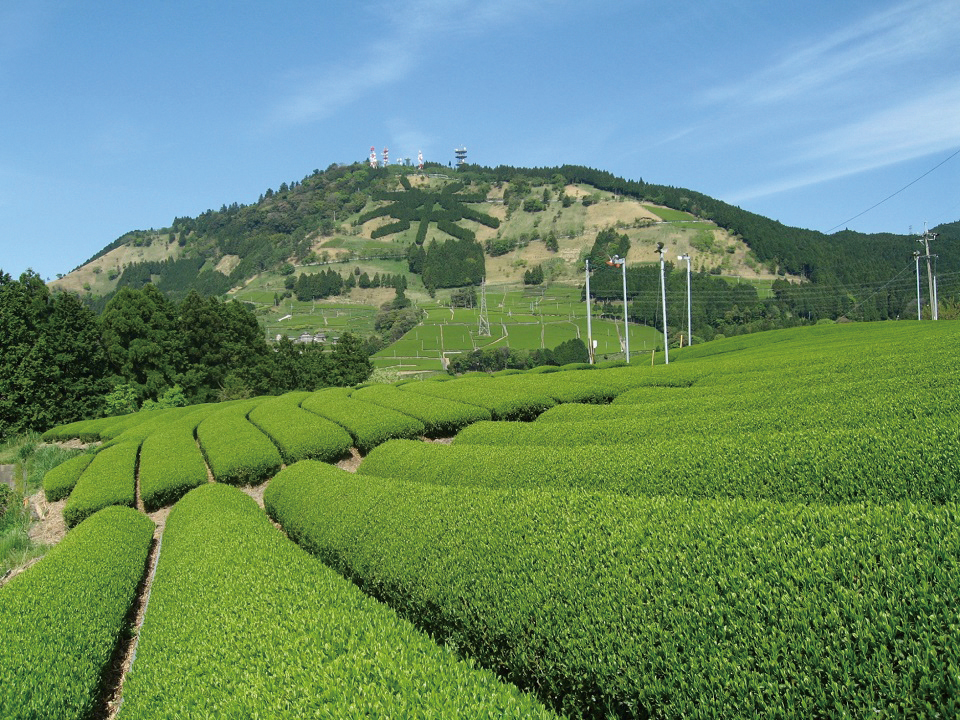 山梨県峡東地域