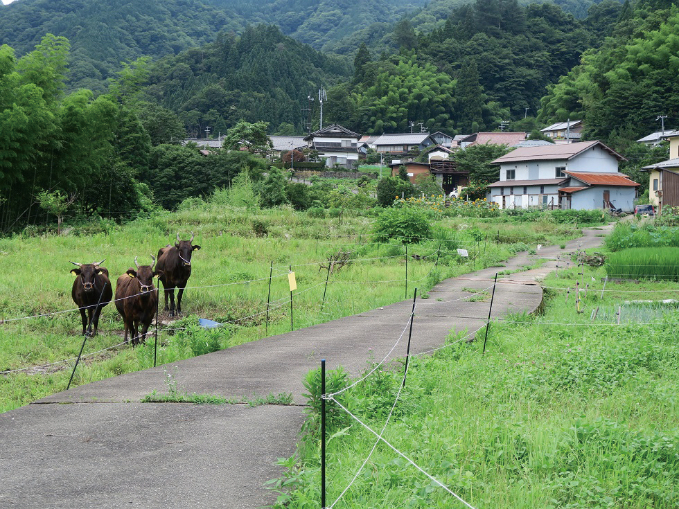 兵庫県兵庫美方地域
